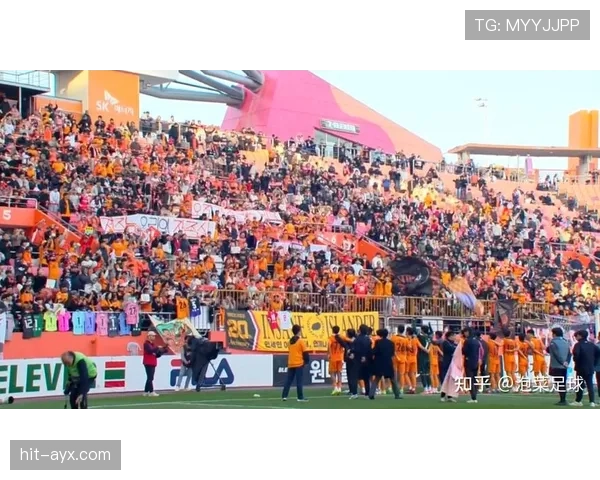 维特斯防线再升级，球队防守效率大幅提升展现强劲实力